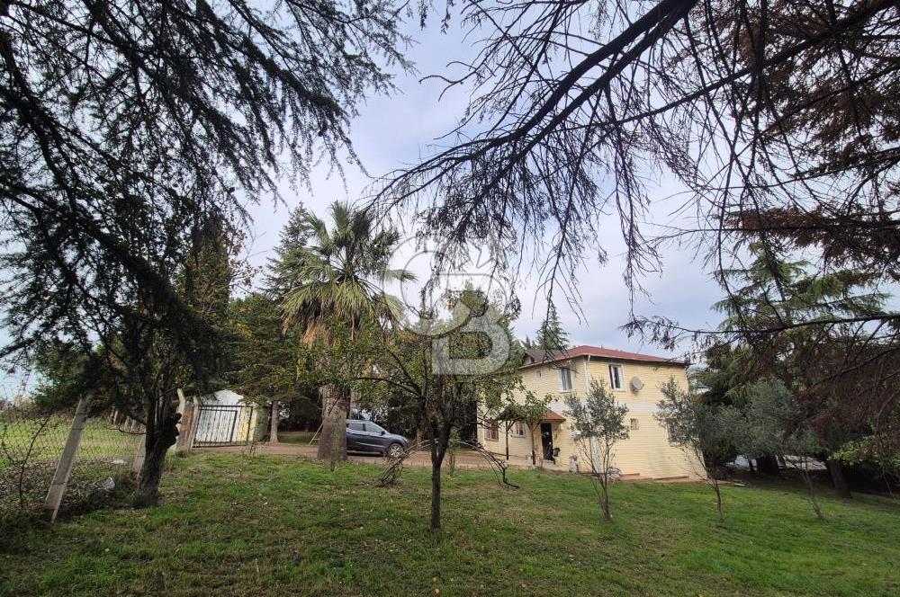 Yalova Altınova çavuş çiftliği eşyalı satılık çiftlik evi 