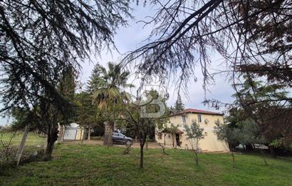 Yalova Altınova çavuş çiftliği eşyalı satılık çiftlik evi 