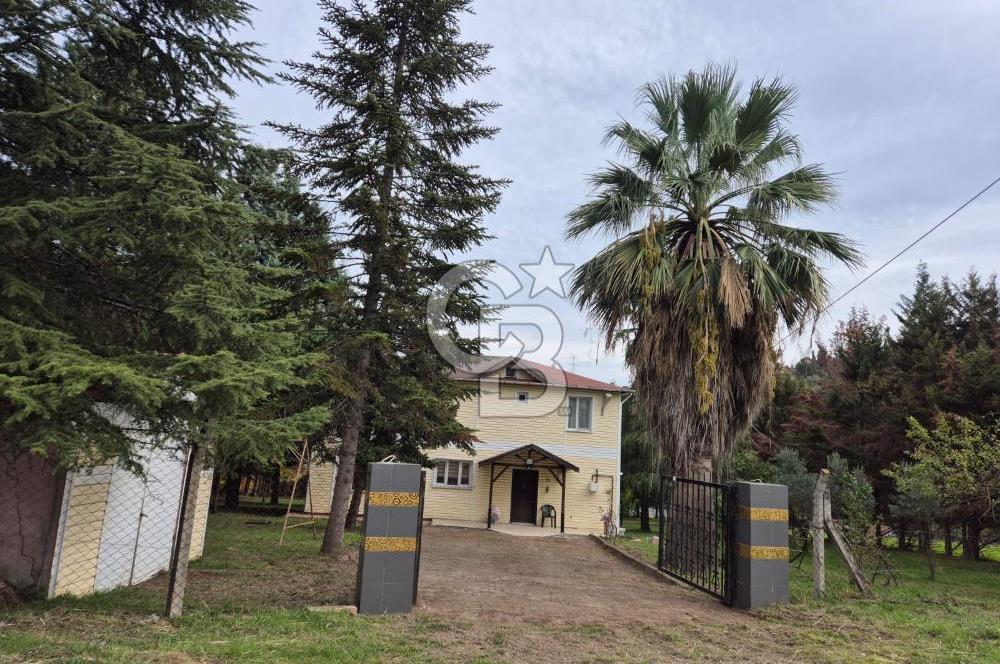 Yalova Altınova çavuş çiftliği eşyalı satılık çiftlik evi 