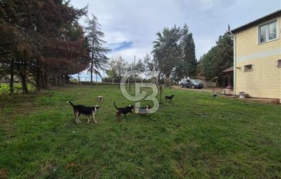 Yalova Altınova çavuş çiftliği eşyalı satılık çiftlik evi 