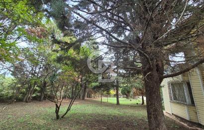 Yalova Altınova çavuş çiftliği eşyalı satılık çiftlik evi 