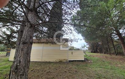 Yalova Altınova çavuş çiftliği eşyalı satılık çiftlik evi 