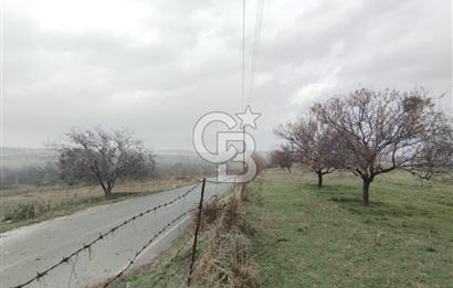 COLDWELL BANKER SAFİR'den KAYNARCA da 4224 m² SATILIK ARSA