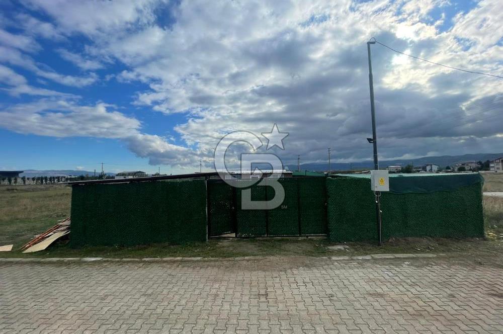 YALOVA ALTINOVA DA İMAR DİBİ 251 M2 SATILIK ARSA