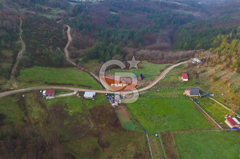 Çanakkale Biga Akkayrak Köyünde Satılık 875m2 Tarla !