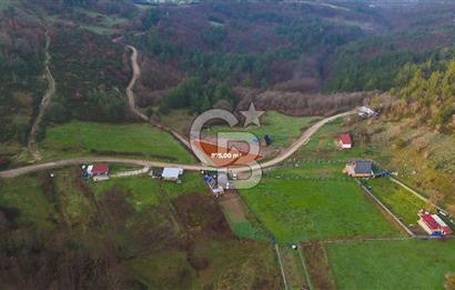 Çanakkale Biga Akkayrak Köyünde Satılık 875m2 Tarla !