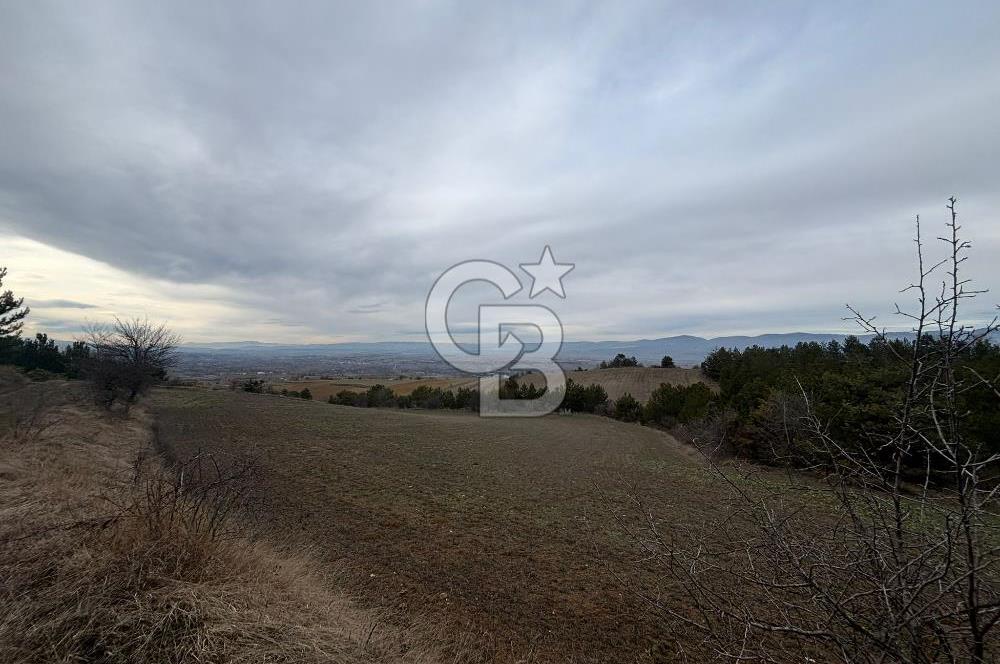 KASTAMONU MERKEZ ÖMERLİ KÖYÜ’NDE 4.107,79 m² YATIRIMLIK TARLA