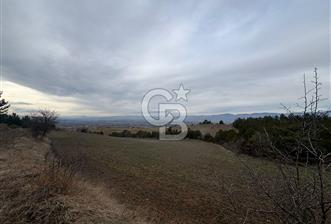 KASTAMONU MERKEZ ÖMERLİ KÖYÜ’NDE 4.107,79 m² YATIRIMLIK TARLA - 2 - 334181