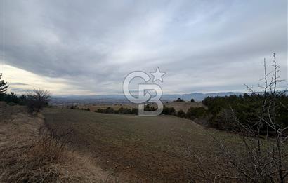 KASTAMONU MERKEZ ÖMERLİ KÖYÜ’NDE 4.107,79 m² YATIRIMLIK TARLA