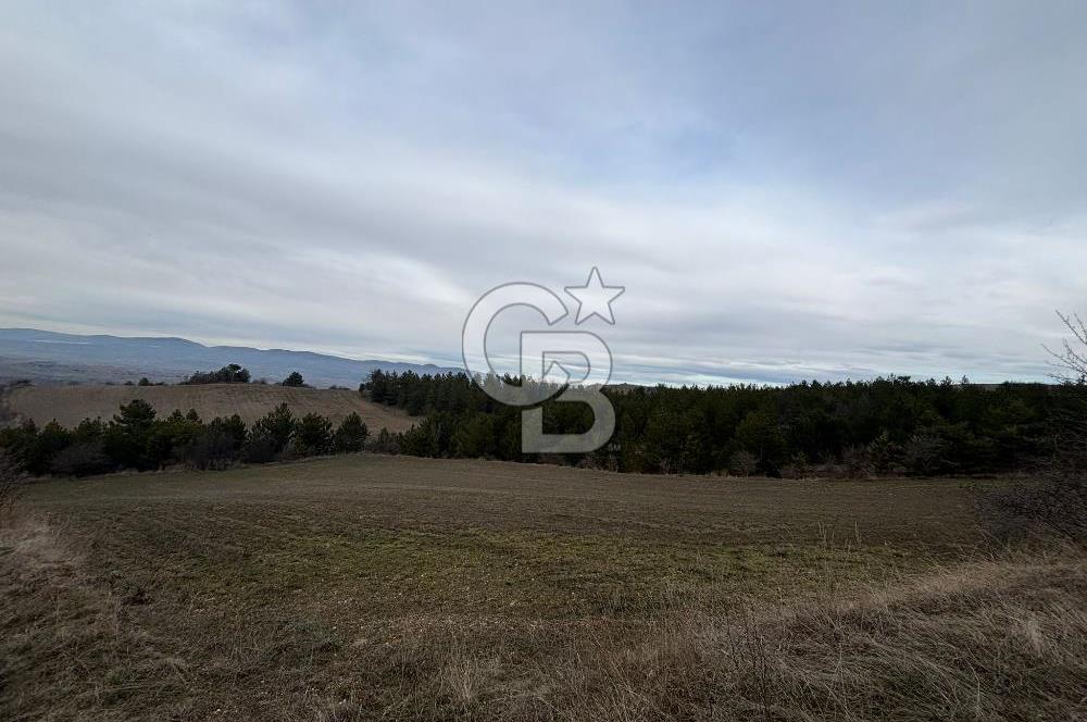 KASTAMONU MERKEZ ÖMERLİ KÖYÜ’NDE 4.107,79 m² YATIRIMLIK TARLA