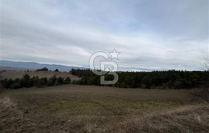 KASTAMONU MERKEZ ÖMERLİ KÖYÜ’NDE 4.107,79 m² YATIRIMLIK TARLA