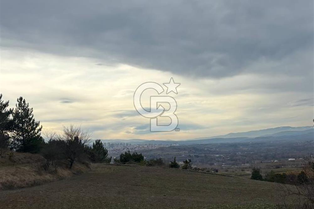 KASTAMONU MERKEZ ÖMERLİ KÖYÜ’NDE 4.107,79 m² YATIRIMLIK TARLA