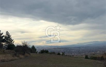 KASTAMONU MERKEZ ÖMERLİ KÖYÜ’NDE 4.107,79 m² YATIRIMLIK TARLA