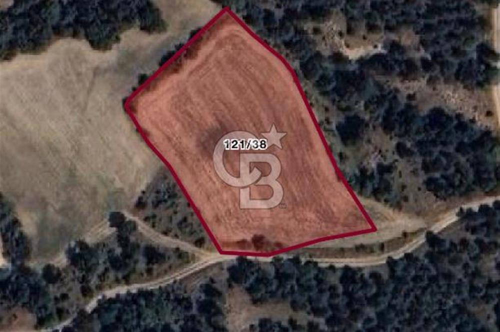 KASTAMONU MERKEZ ÖMERLİ KÖYÜ’NDE 4.107,79 m² YATIRIMLIK TARLA