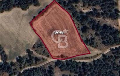 KASTAMONU MERKEZ ÖMERLİ KÖYÜ’NDE 4.107,79 m² YATIRIMLIK TARLA