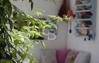 Alaçatı merkezde 7 odalı butik otel acil