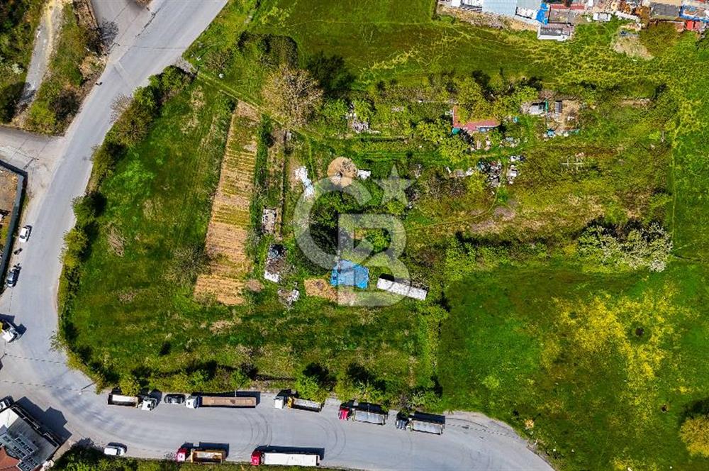 Çekmeköy Ömerli 3000 m2 Kiralık Parsel