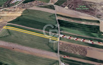 PURSAKLAR'da MÜSTAKİL TAPULU SATILIK 6482,95 M² TARLA