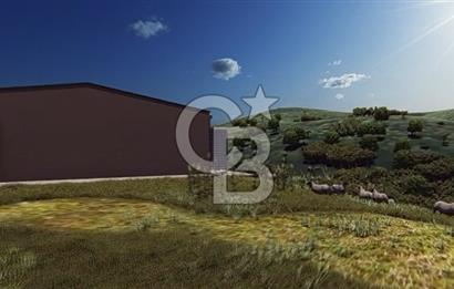 Manyas'ta Ruhsatlı, Projeli, İnşaata Hazır 15 Dönüm Çiftlik