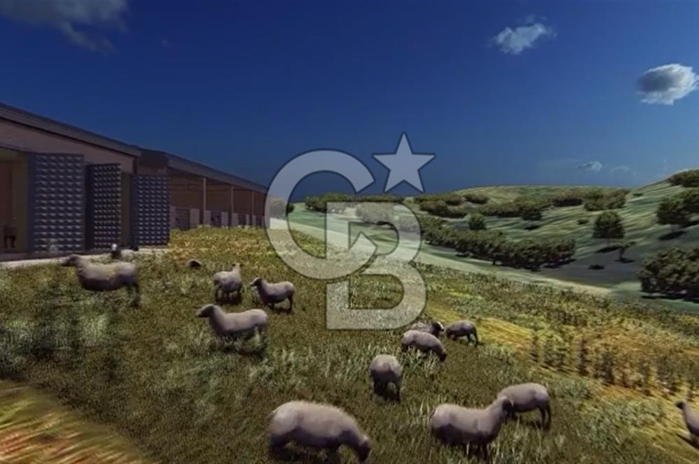 Manyas'ta Ruhsatlı, Projeli, İnşaata Hazır 15 Dönüm Çiftlik