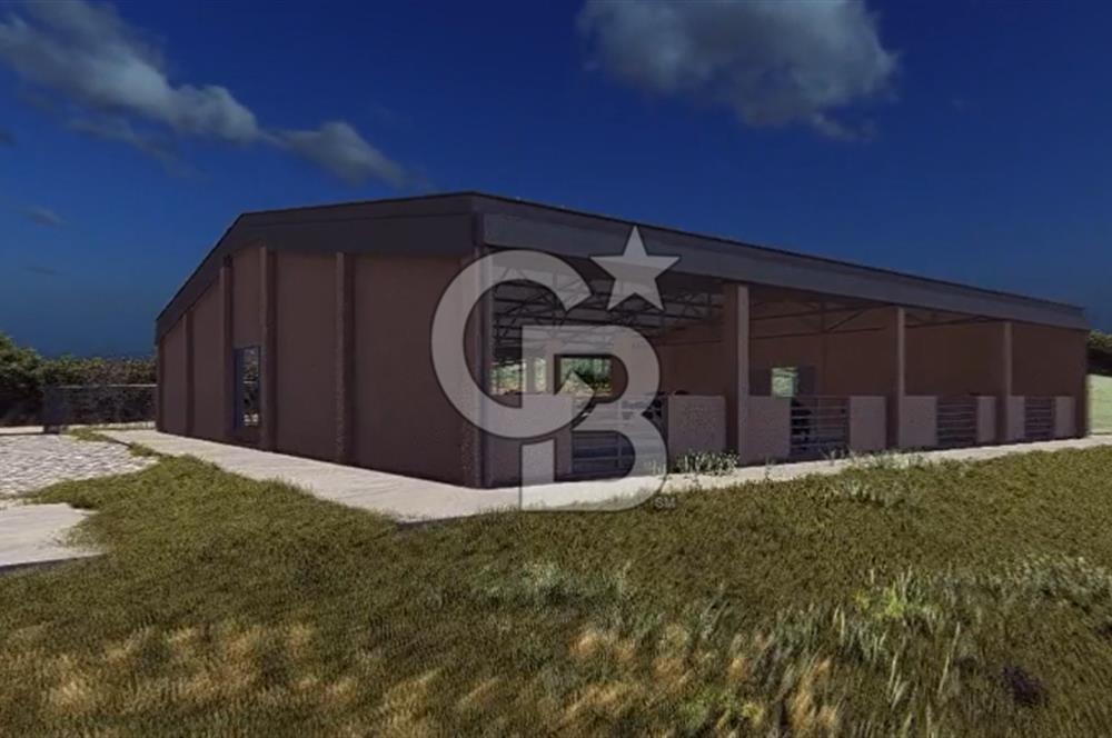 Manyas'ta Ruhsatlı, Projeli, İnşaata Hazır 15 Dönüm Çiftlik