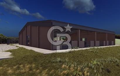 Manyas'ta Ruhsatlı, Projeli, İnşaata Hazır 15 Dönüm Çiftlik