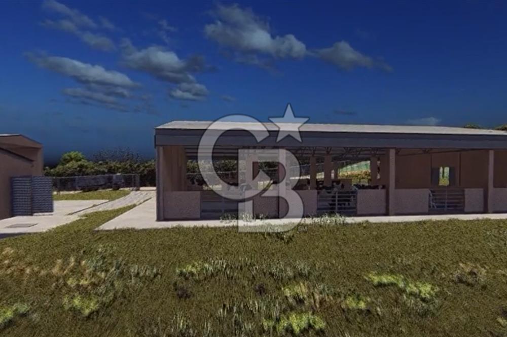 Manyas'ta Ruhsatlı, Projeli, İnşaata Hazır 15 Dönüm Çiftlik