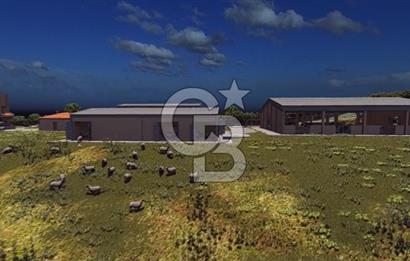 Manyas'ta Ruhsatlı, Projeli, İnşaata Hazır 15 Dönüm Çiftlik