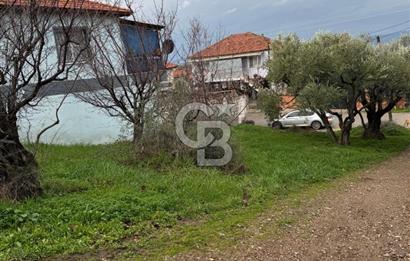 Turgutlu Dalbahçe Mahallesi Merkezde Satılık 811 M2 Zeytinlik