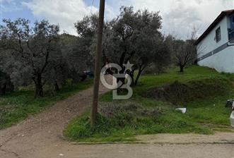 Turgutlu Dalbahçe Mahallesi Merkezde Satılık 811 M2 Zeytinlik - 4 - 334244