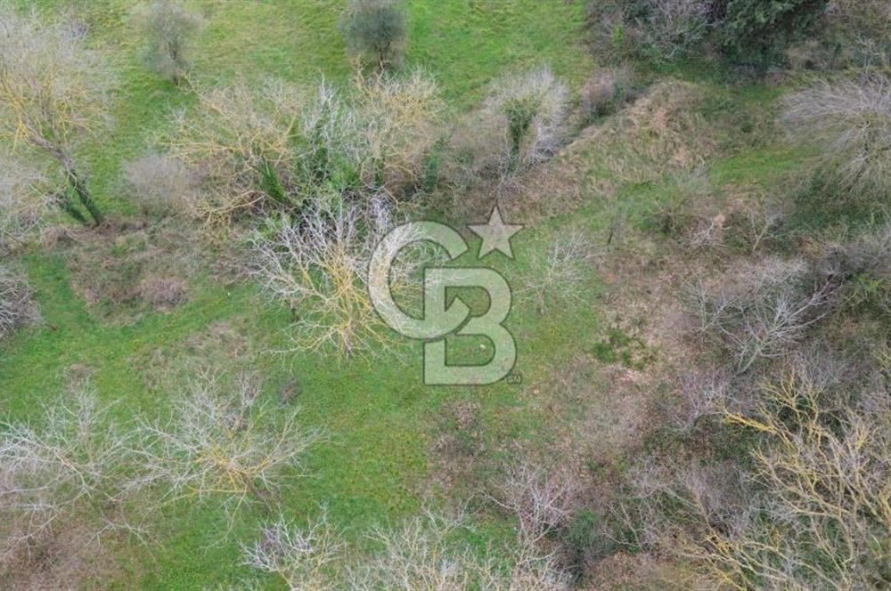 İZMİT ARIZLI'DA DENİZ MANZARALI %20 İMARLI 425 M² SATILIK ARSA