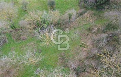 İZMİT ARIZLI'DA DENİZ MANZARALI %20 İMARLI 425 M² SATILIK ARSA