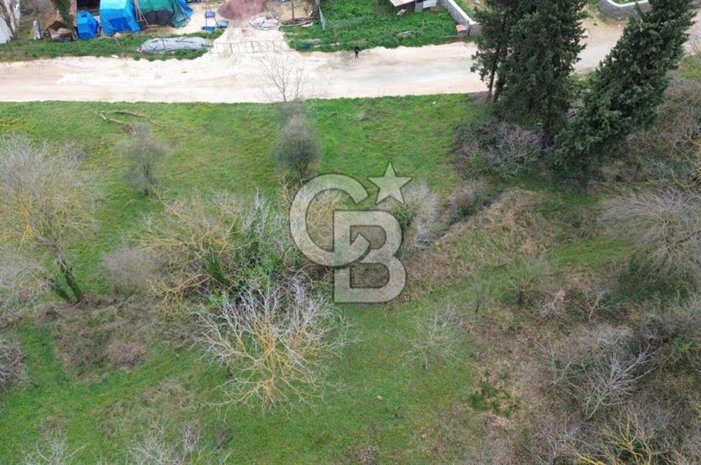 İZMİT ARIZLI'DA DENİZ MANZARALI %20 İMARLI 425 M² SATILIK ARSA