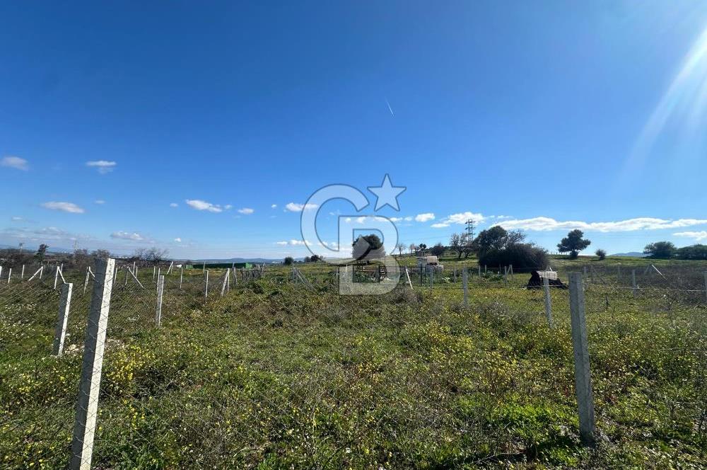 Mendereste Değerlenen Gelişmekte Olan Bölgede Yatırımlık Tarla