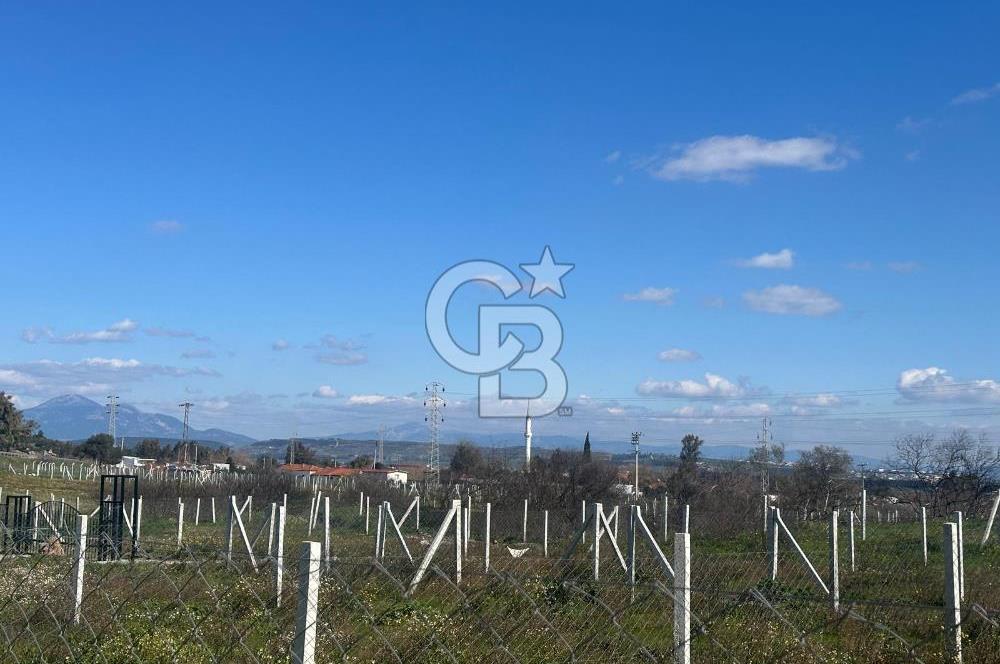 Mendereste Değerlenen Gelişmekte Olan Bölgede Yatırımlık Tarla