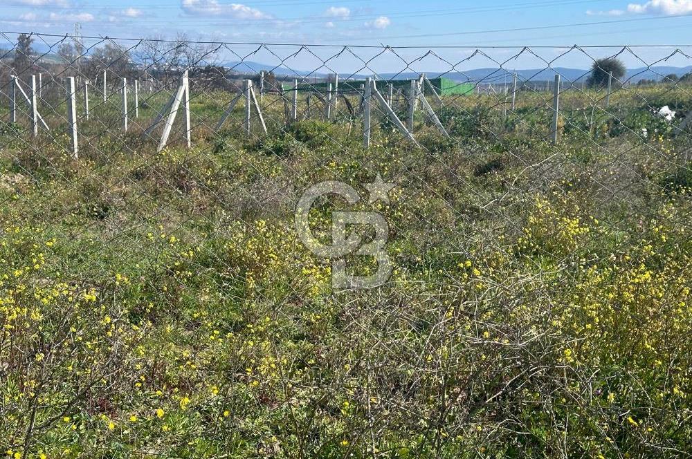 Mendereste Değerlenen Gelişmekte Olan Bölgede Yatırımlık Tarla