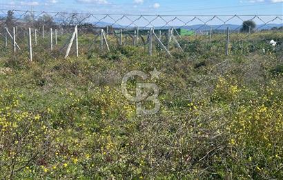 Mendereste Değerlenen Gelişmekte Olan Bölgede Yatırımlık Tarla