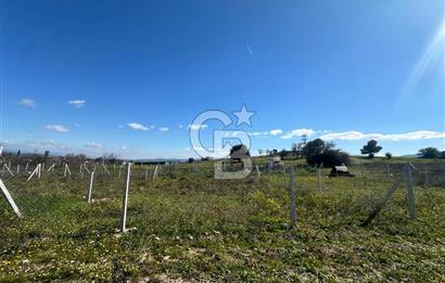 Mendereste Değerlenen Gelişmekte Olan Bölgede Yatırımlık Tarla