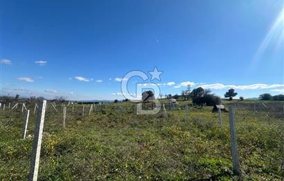 Mendereste Değerlenen Gelişmekte Olan Bölgede Yatırımlık Tarla