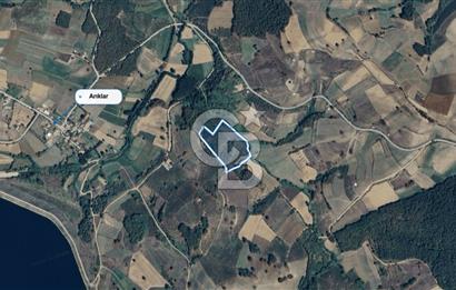 KANDIRA MÜLKÜŞEHSUVAR’DA MANZARALI SATILIK FINDIK BAHÇESİ VE TARLA 