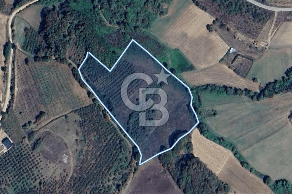 KANDIRA MÜLKÜŞEHSUVAR’DA MANZARALI SATILIK FINDIK BAHÇESİ VE TARLA 