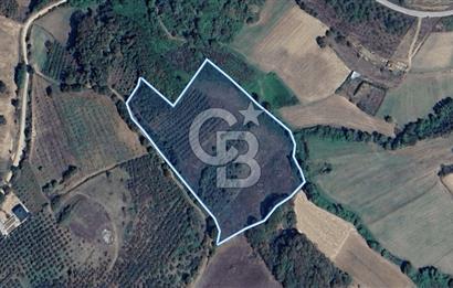 KANDIRA MÜLKÜŞEHSUVAR’DA MANZARALI SATILIK FINDIK BAHÇESİ VE TARLA 