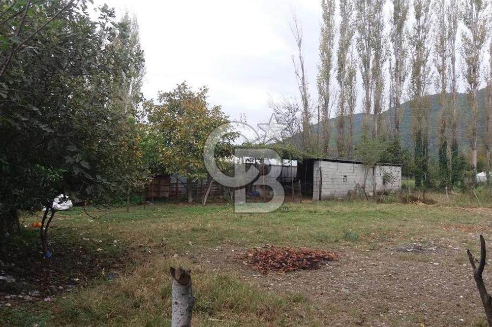 MUĞLA SEYDİKEMER'DE SATILIK TARIM ARAZİ HİSSESİ