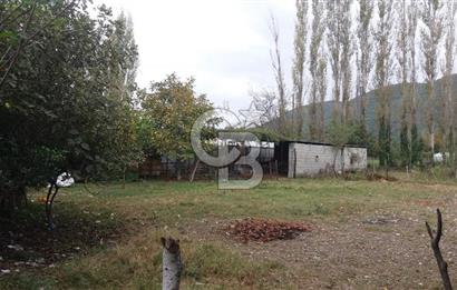 MUĞLA SEYDİKEMER'DE SATILIK TARIM ARAZİ HİSSESİ