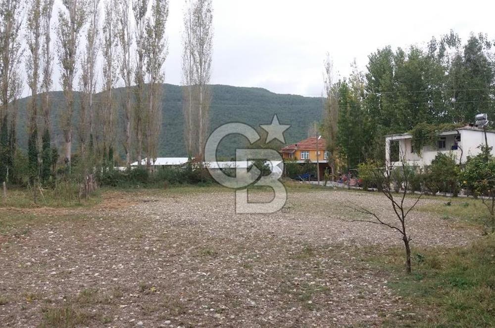 MUĞLA SEYDİKEMER'DE SATILIK TARIM ARAZİ HİSSESİ