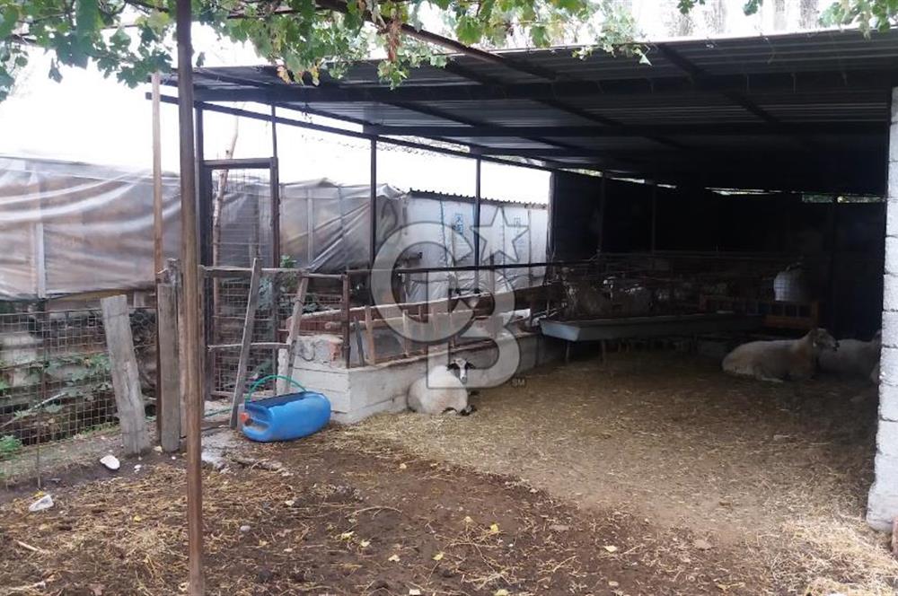 MUĞLA SEYDİKEMER'DE SATILIK TARIM ARAZİ HİSSESİ