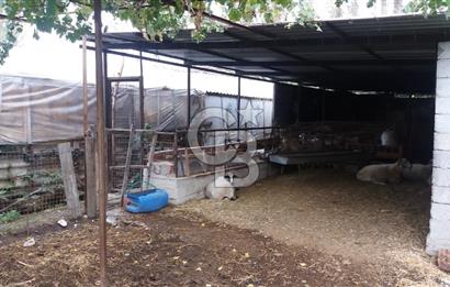 MUĞLA SEYDİKEMER'DE SATILIK TARIM ARAZİ HİSSESİ