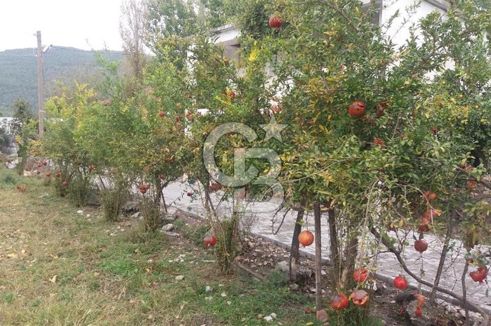 MUĞLA SEYDİKEMER'DE SATILIK TARIM ARAZİ HİSSESİ