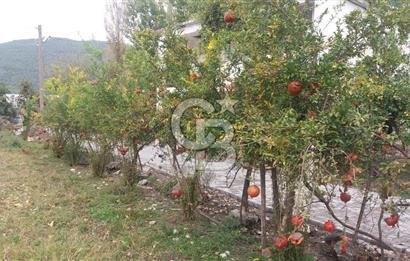 MUĞLA SEYDİKEMER'DE SATILIK TARIM ARAZİ HİSSESİ