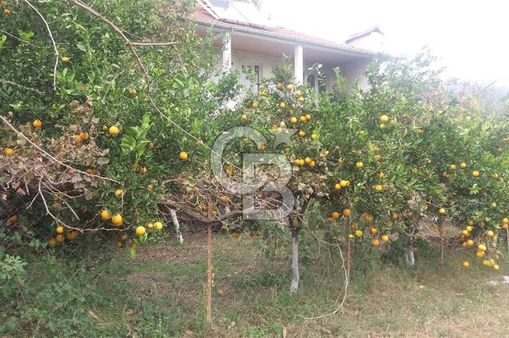 MUĞLA SEYDİKEMER'DE SATILIK TARIM ARAZİ HİSSESİ